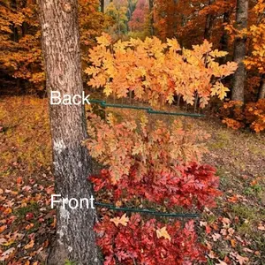 Tree Ninja Hunting Blind - Red/Brown Branch Combo