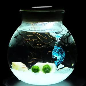 Megrez - Serene Big Dipper Bottle Ecosystem, Adorable Marimo Moss Ball Micro-Landscape, Self-Sustaining Crystal Water Garden & Calming Pet Plant Habitat (Includes 2 Live Marimo Pets)