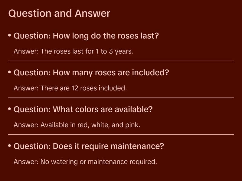 Eternal Prestige Velvet Black | 12 Red Roses Decor Box