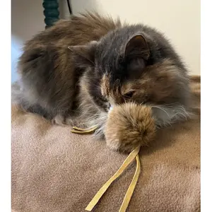 Fur-Fuffle Cat Toy