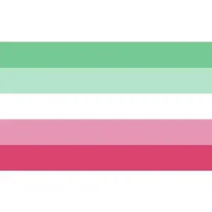 Abrosexual Pride Flag 3x5