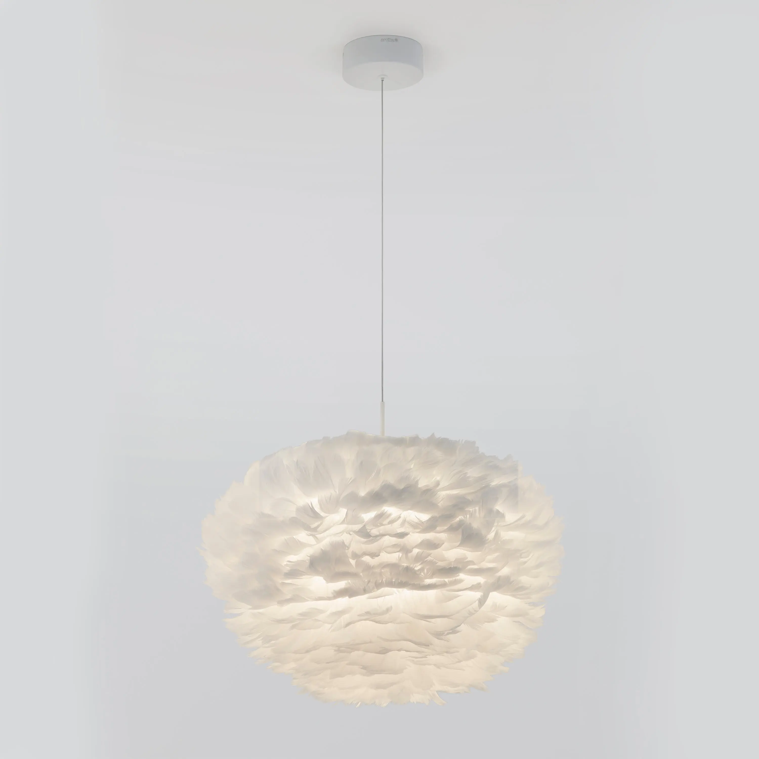 Plume LED pendant light
