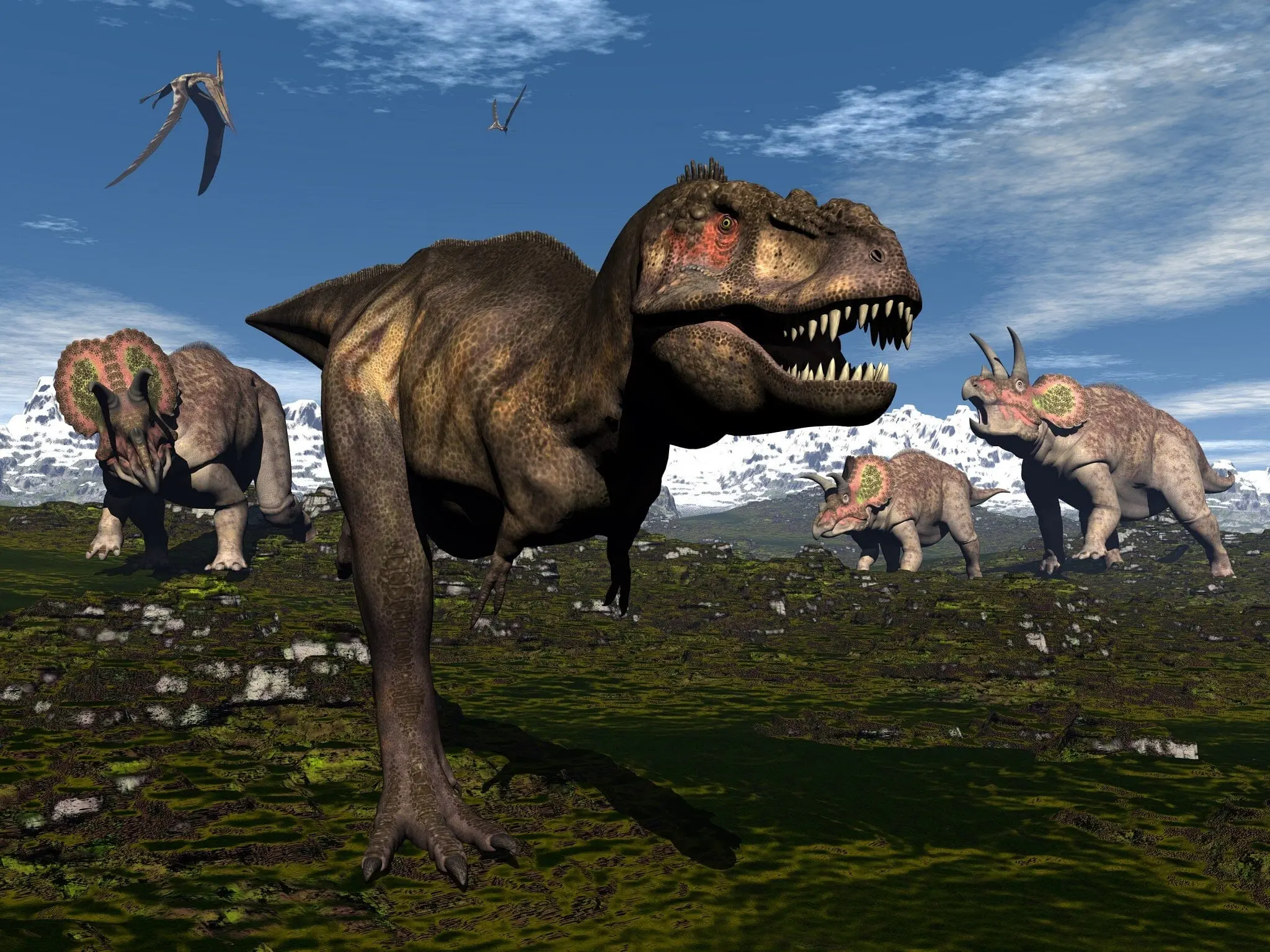 T-Rex Attacked by Triceratops Wall Mural