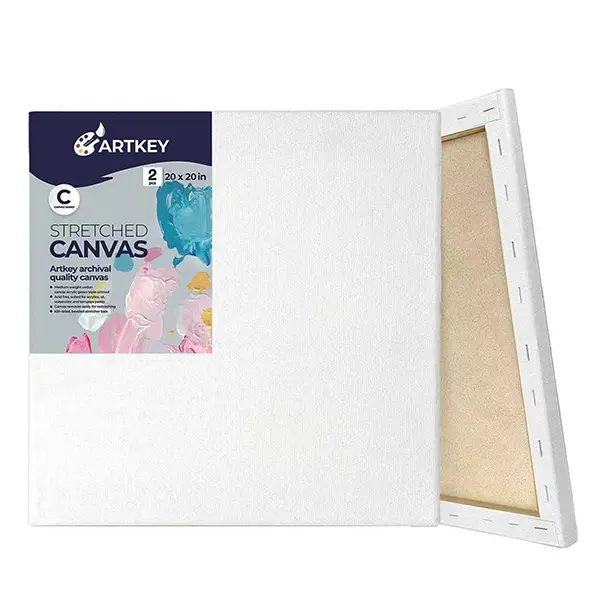 Large Canvases for Painting 20x20 Inch 2-Pack, 12.3 oz Triple Primed Acid-Free 100% Cotton Stretched Canvas, Blank Large Canvas for Oil Paint Acrylics Pouring & Wet Art Media