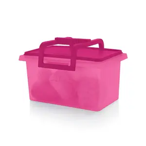 Tupperware Small Carry-All Container | Detachable Handle Storage Bin