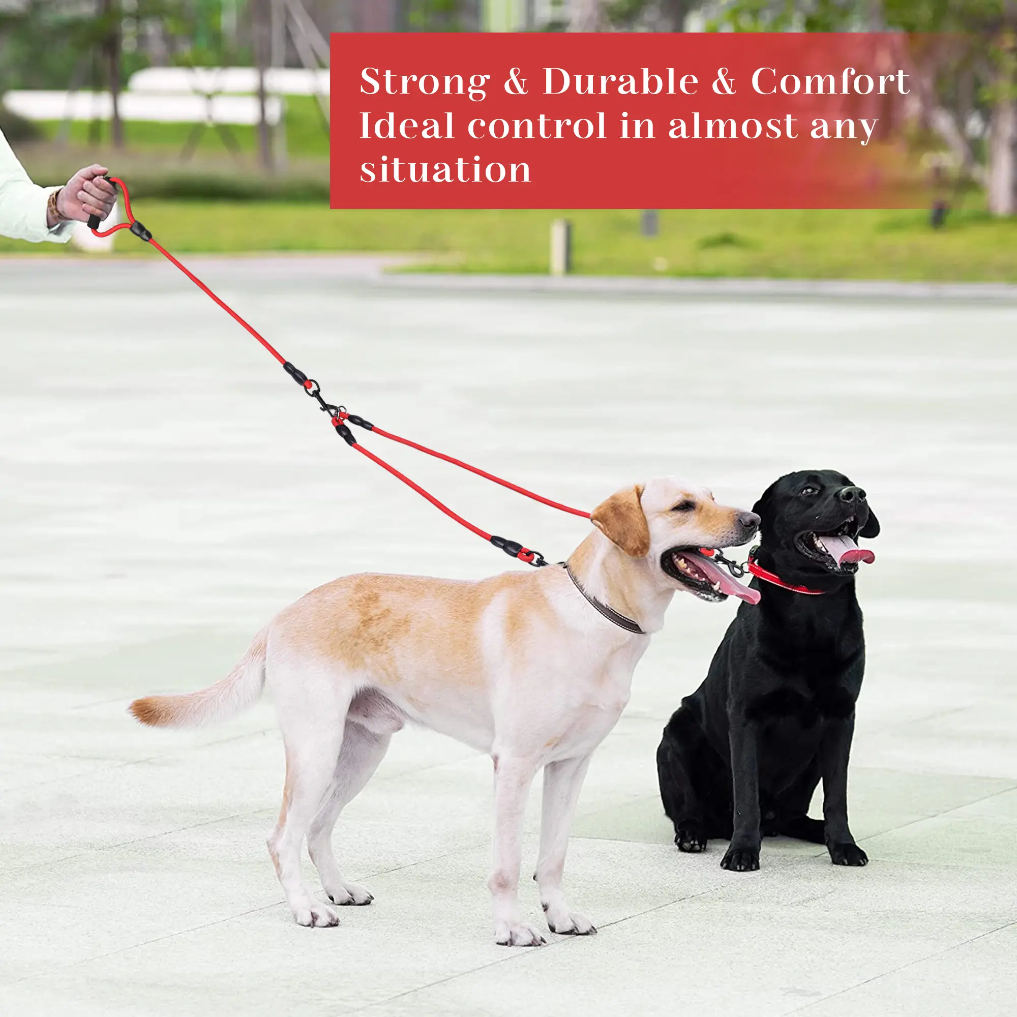 Double Ended Dog Leash,59.05Inch Thick Nylon Rope,Padded Foam Handle,360°Rotating Metal Clasp,Suit for Walking One or Two Dogs Outdoor Daily Walking