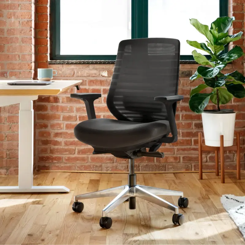 Ergonomic Chair Ergonomic Chair