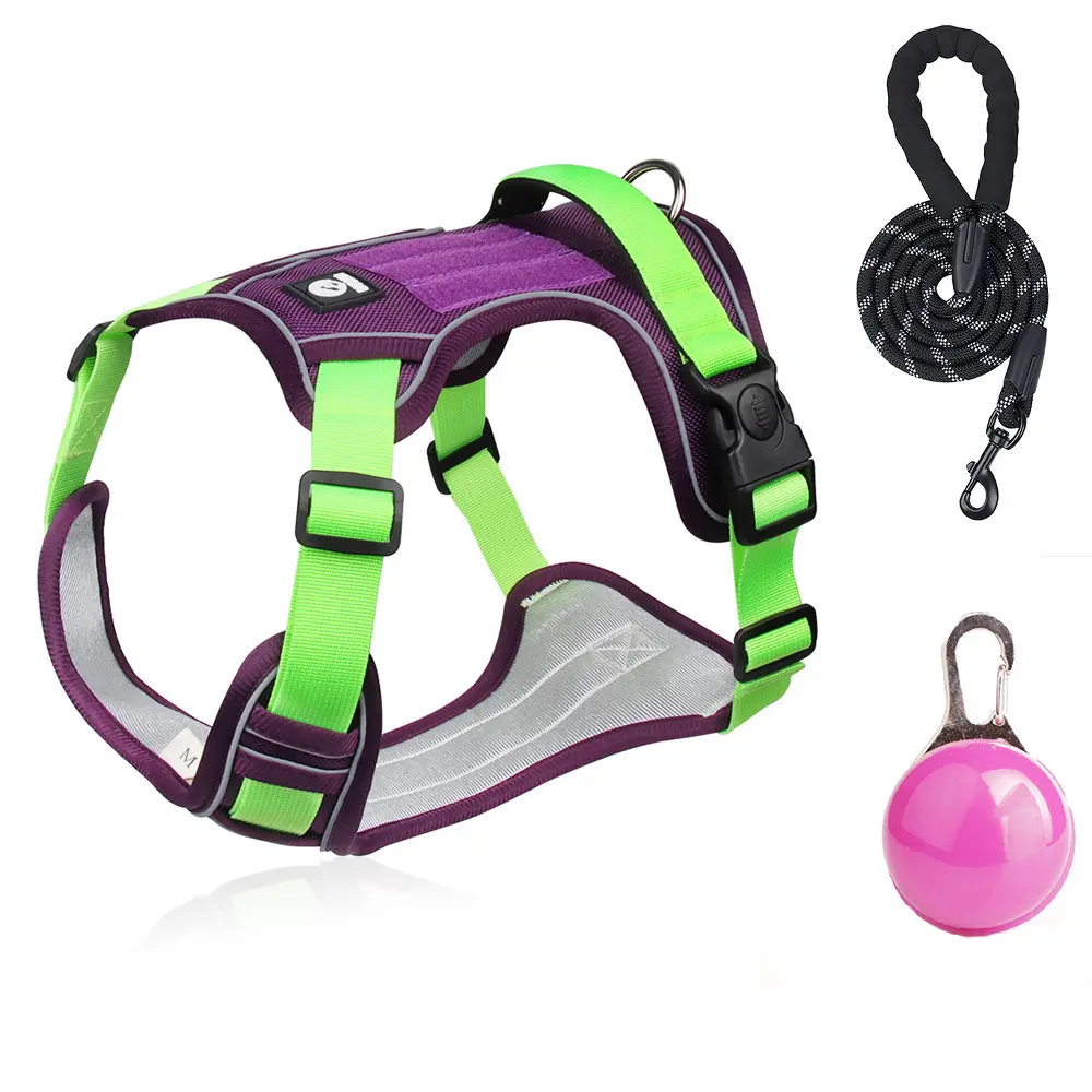 PurpleHarness+1.5-meter reflective round leash+LED