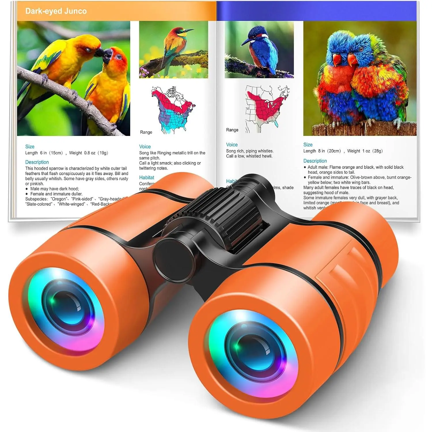 3-8 Year Old Boy Girl Toys  Shockproof Binoculars for Kids Bird Watching 3 4 5 6 7 Year Old Boys Girls Outdoor Travel Toy for Kid Ages 4-7 Toddler Toy Binoculars
