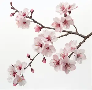 Cherry Blossom Car Sticker – Sakura Flower Decal for Window, Bumper or Laptop – Aesthetic Floral Car Decor, Waterproof Removable Japanese Style Pink Tree Branch Auto Sticker