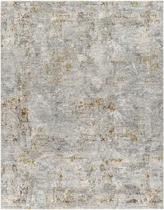 Livabliss DRE2314-23 2 x 3 ft. Dresden Machine Woven Polyester Rectangle Area Rug