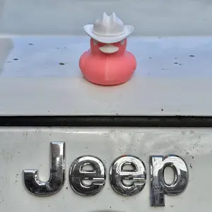 Magnetic Duck - Quacknetics