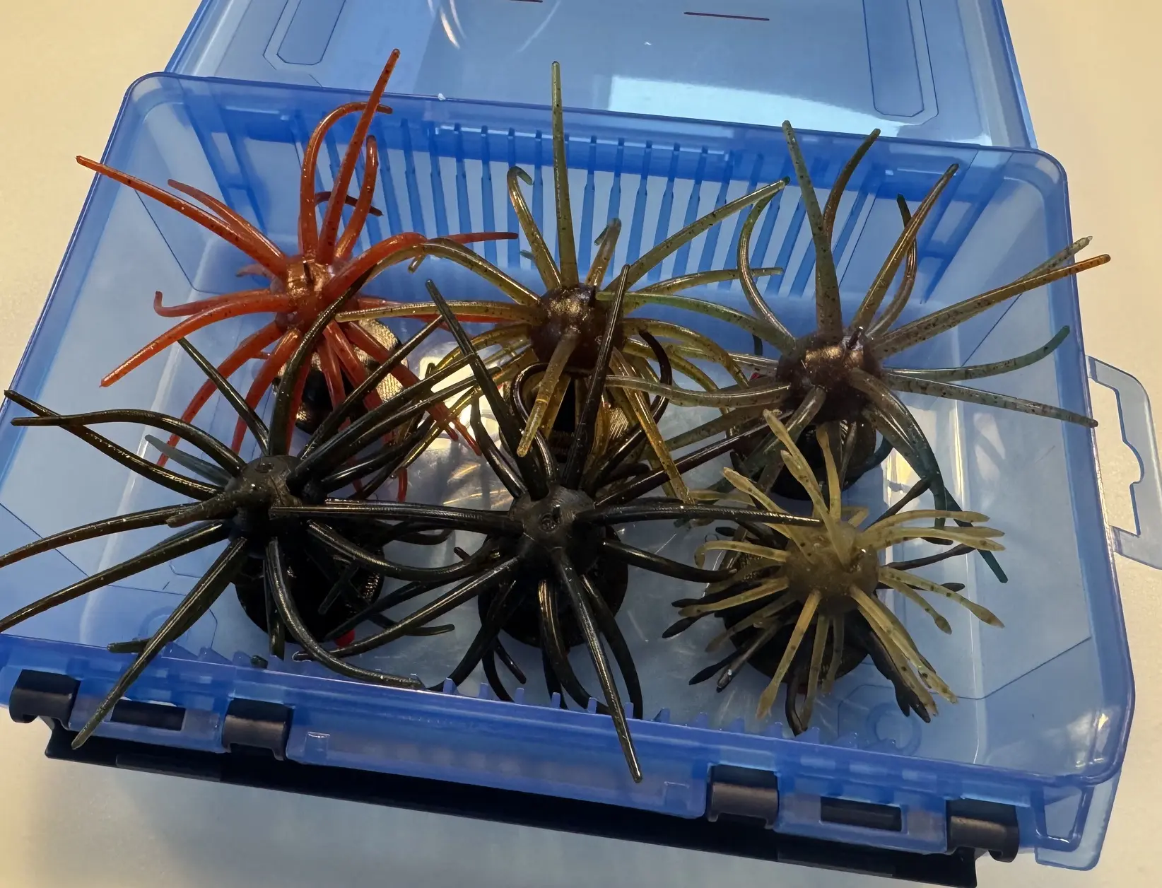 Urchin Bait Holder 6 Pack | Coike Storage Organizer | Vertical Tackle Box Bait Storage Inserts