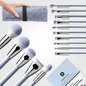 BabyBlue Pro Brush Set