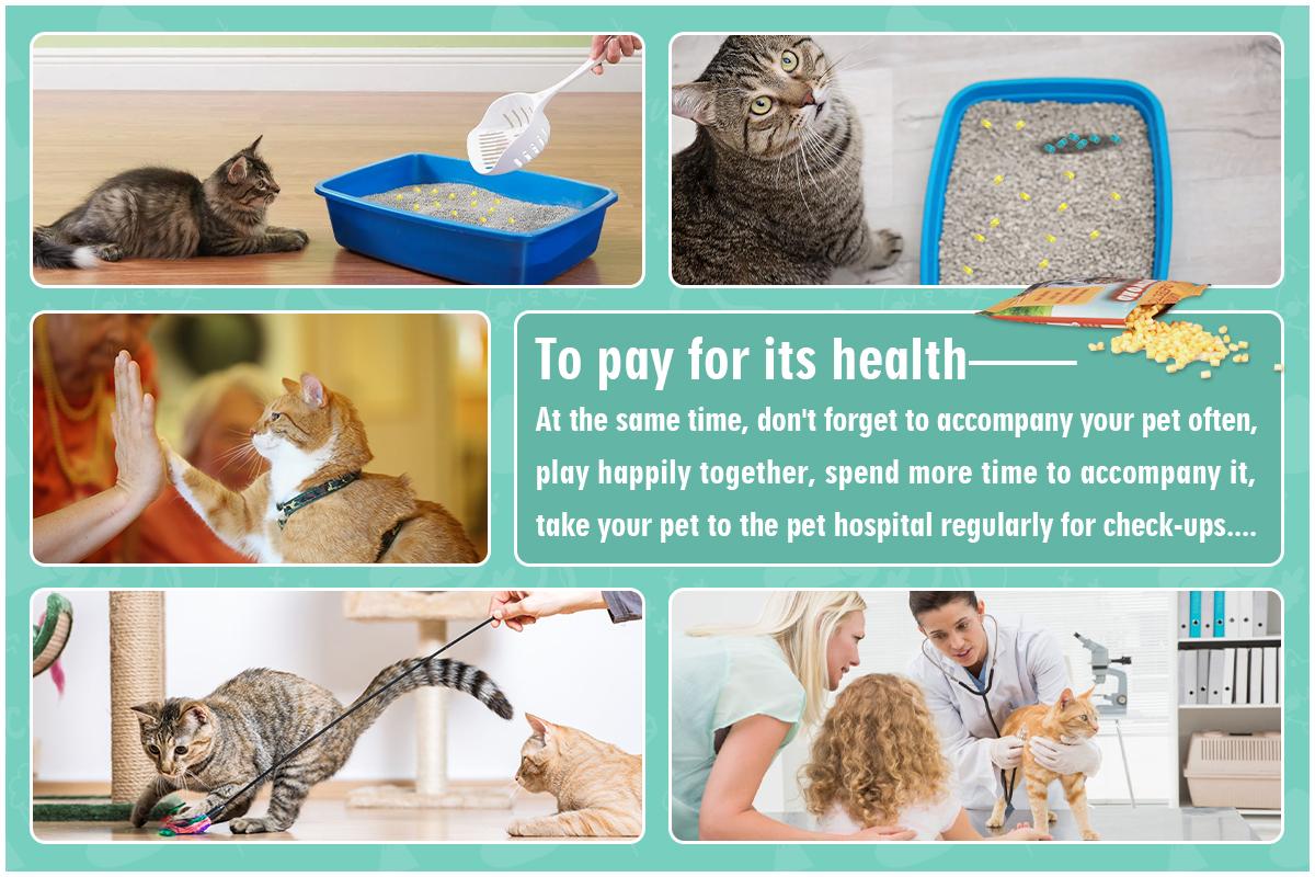 Cat Litter Self Checking Particles with Urine pH Detector Highlights Abnormal Color for Pet Health Monitoring