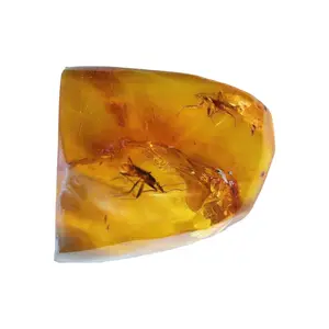 Mexican Amber Chiapas Amber - Preserved Insects in Fossilized Resin