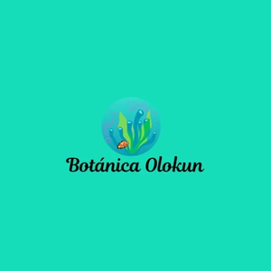 Botanica Olokun FL