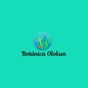 Botanica Olokun FL