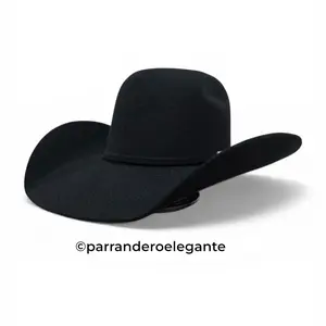 Twister 2x Austin Punchy Wool Felt Texana - Black