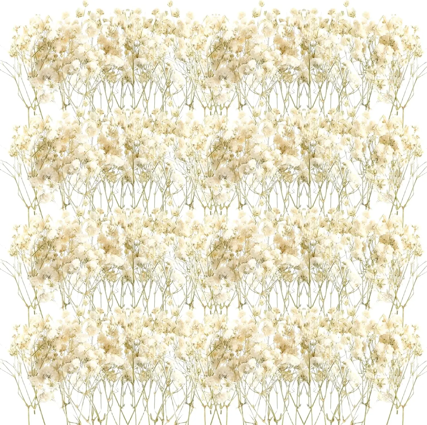 200 Pcs Mini Dried Baby Breath Flowers Wedding Ivory Natural Gypsophila for Vase Brides Shower Invitation Card DIY Candle Making Decor Craft Party Resin Art 2-4 in