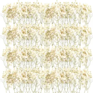 200 Pcs Mini Dried Baby Breath Flowers Wedding Ivory Natural Gypsophila for Vase Brides Shower Invitation Card DIY Candle Making Decor Craft Party Resin Art 2-4 in