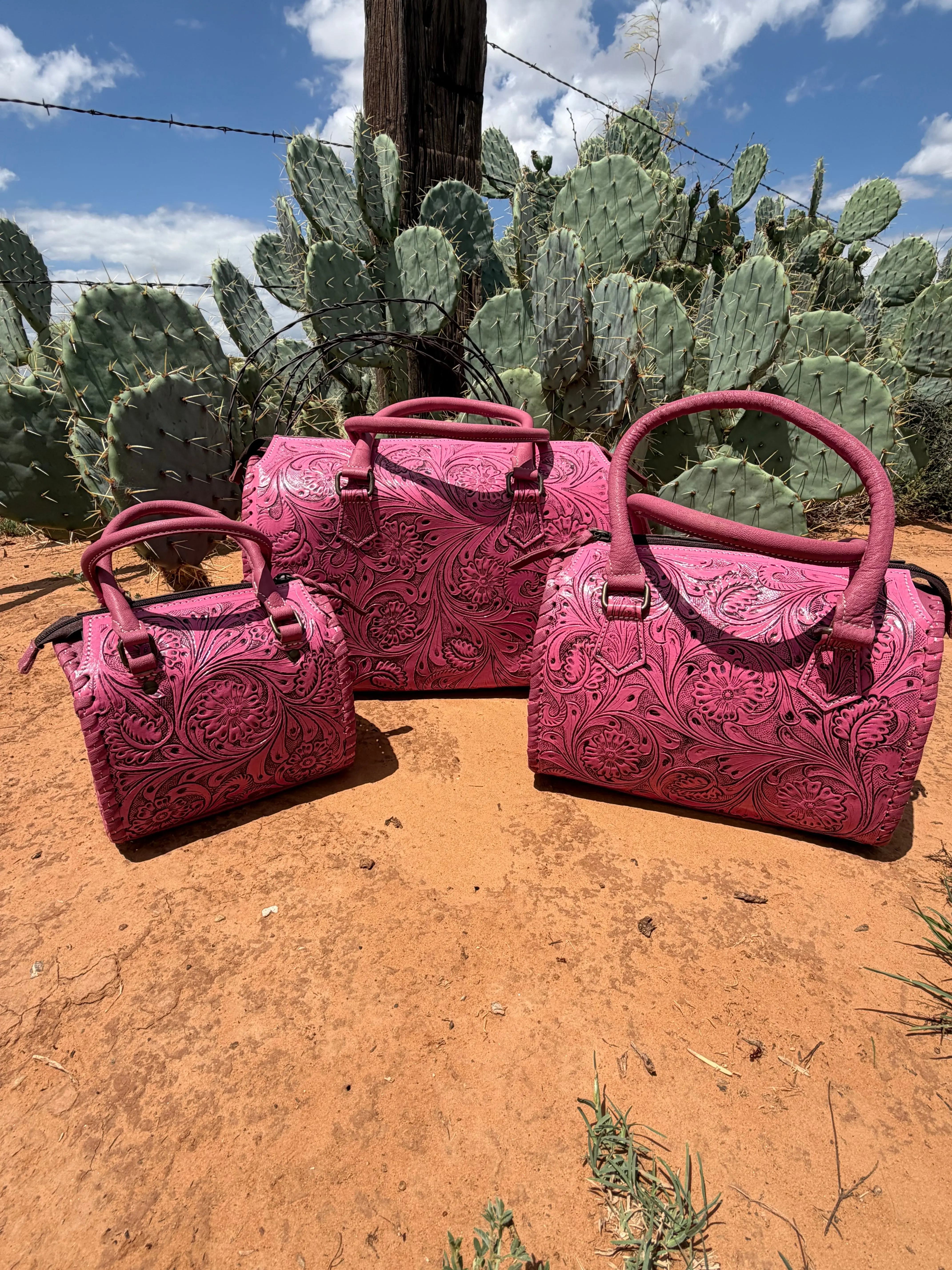 Prickly Pink Speedy (3 sizes)