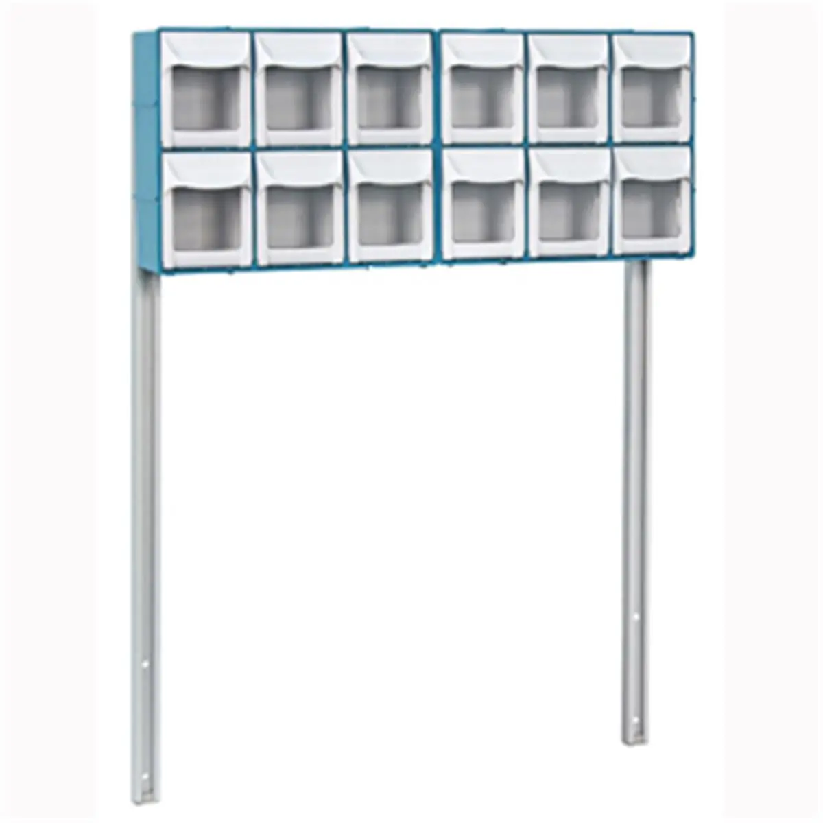 212 MAIN 12-Bin Tilt Bins Organizer Unit - Accessory Bridge Included, Professional Installation, Storage Solution for Small Animal Pet Health Supplies