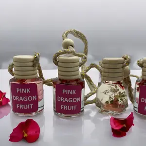 Pink Dragonfruit Car diffuser