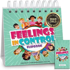 Feelings in Control Flip Book, Emotion Chart,  Tool for , Calm Down Corner Supplies,  Learning Activities, Self Regulation for
