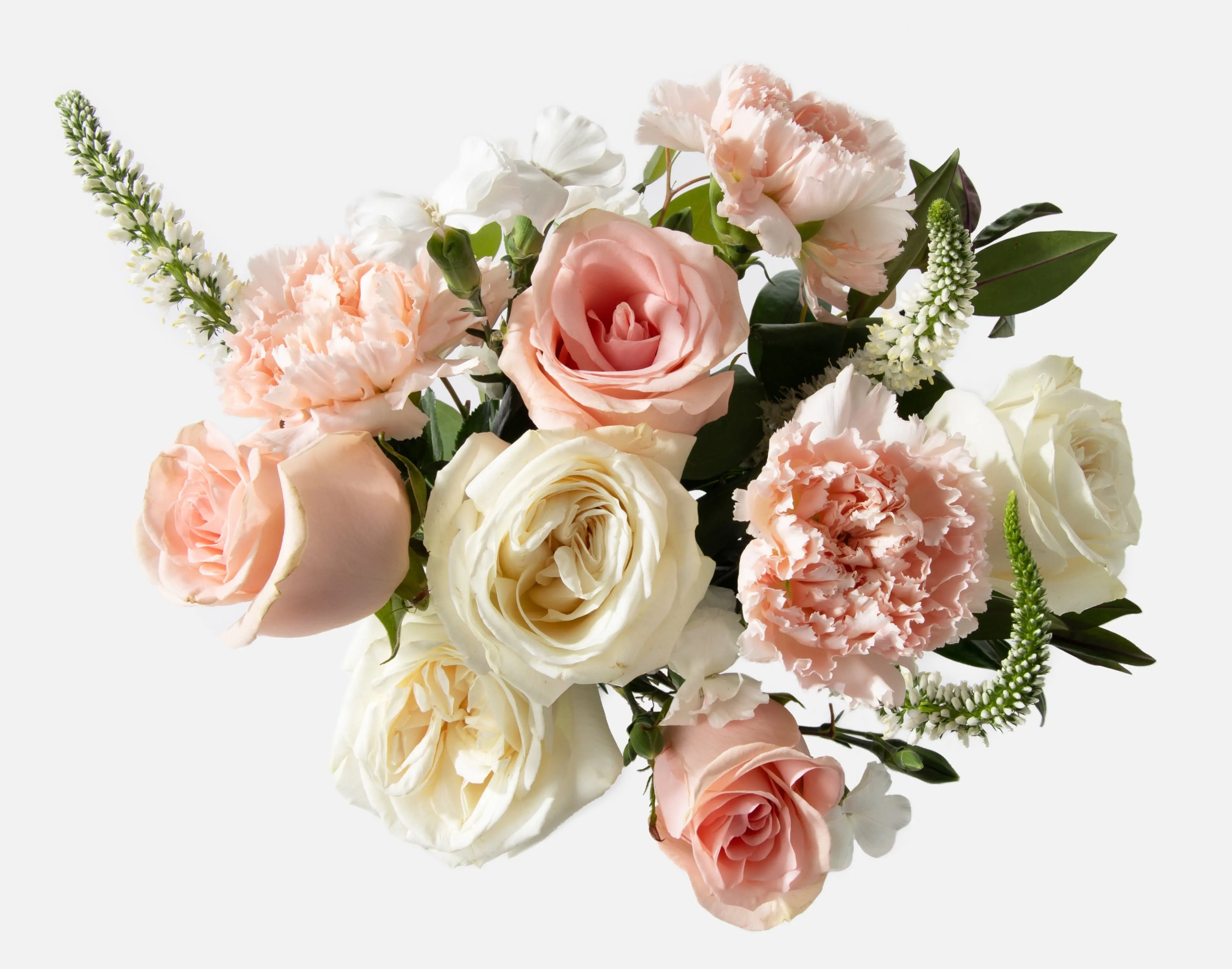 The Sorbet Bouquet (No Vase) – Fresh Flowers for Delivery – Gift for Birthday, Thank You, Sympathy, Thinking of You, Friendship