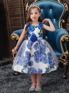 Girl's Floral Print Bow Decor Contrast Mesh Fit and Flare Party Dress, Elegant Sleeveless Round Neck Zipper Back Party Dress for Wedding Guest, Kids Clothes for All Seasons