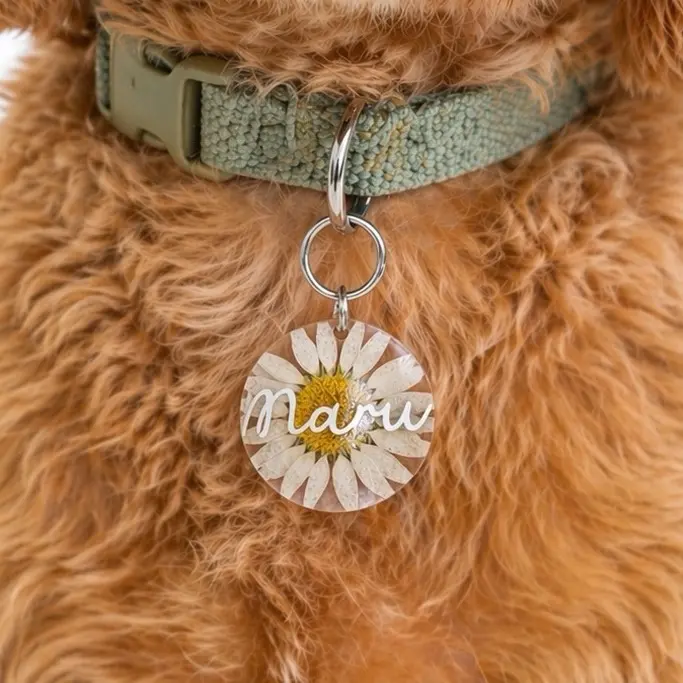 Custom Pet ID Tag | Personalized Resin Dog Tag | Gift for Dog Lovers | Cat, Dog, Pet Name Tag | Fully Customizable | Cute Dog Accessory