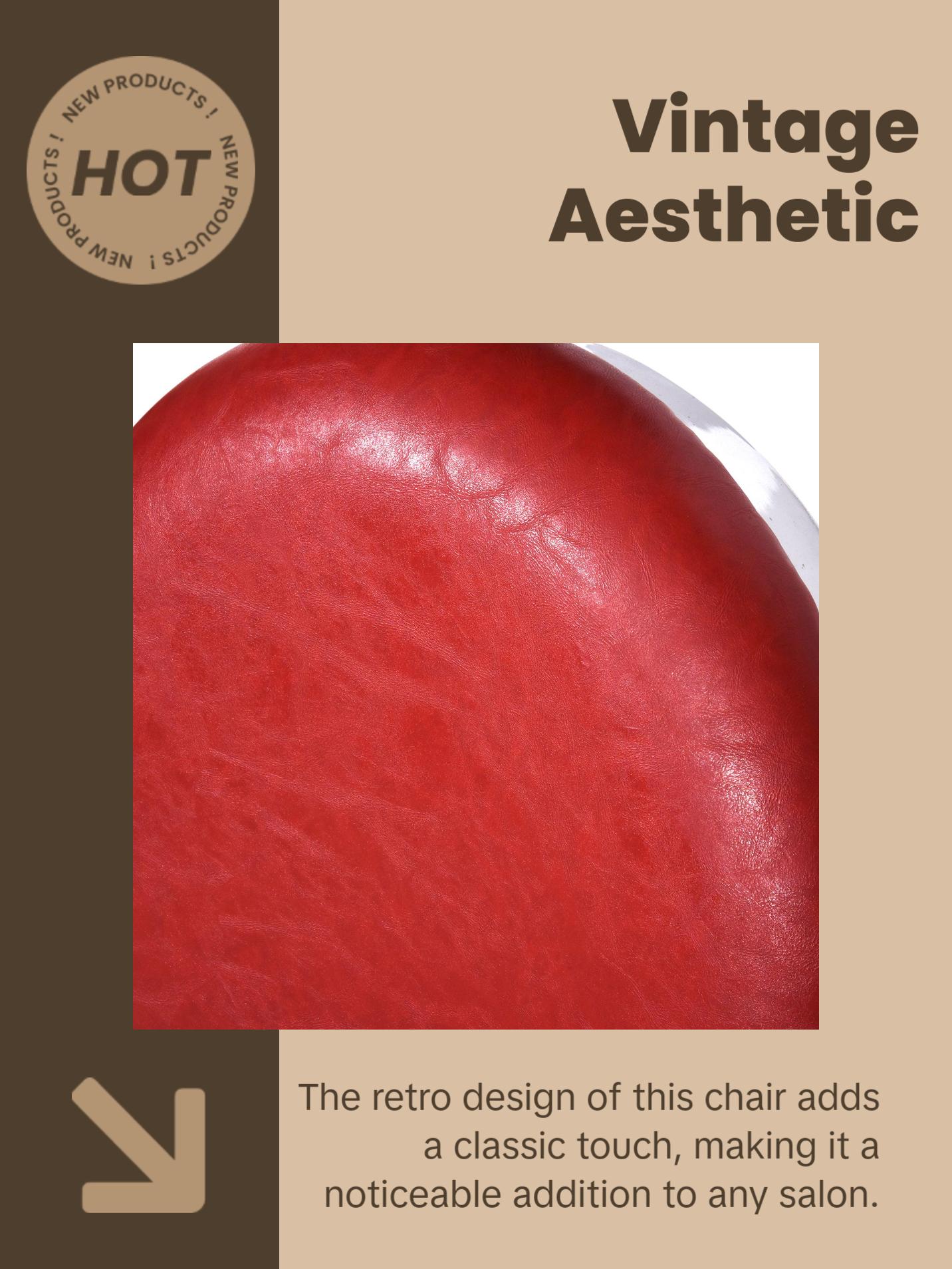 BarberPub Heavy Duty Barber Chair, All Purpose Reclining Hair Styling Salon Chair 3860