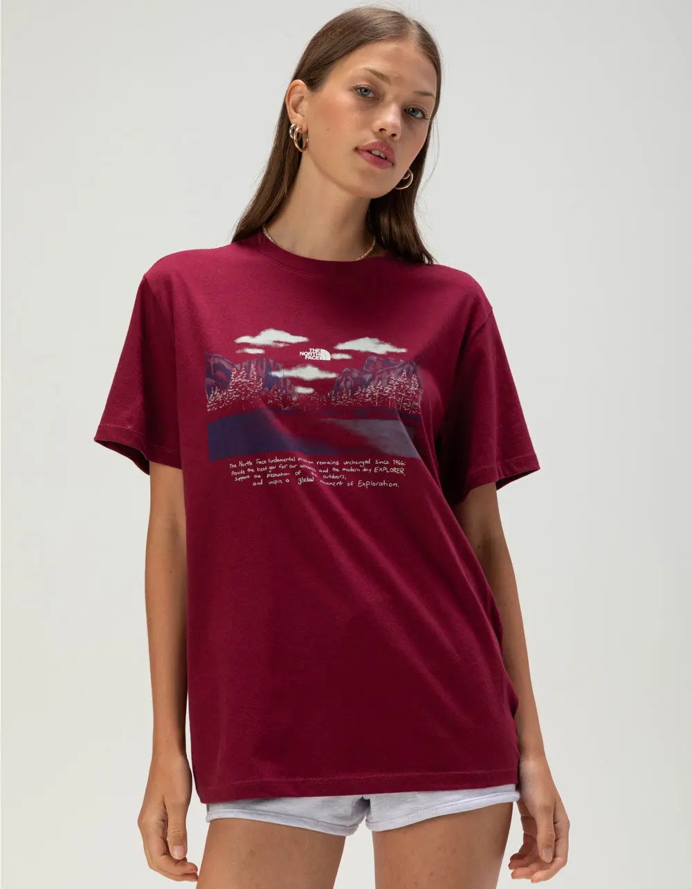 THE NORTH FACE Evolution Mountain Womens Tee