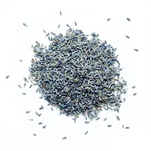 Lavender Buds - Dried Botanicals for Crafting