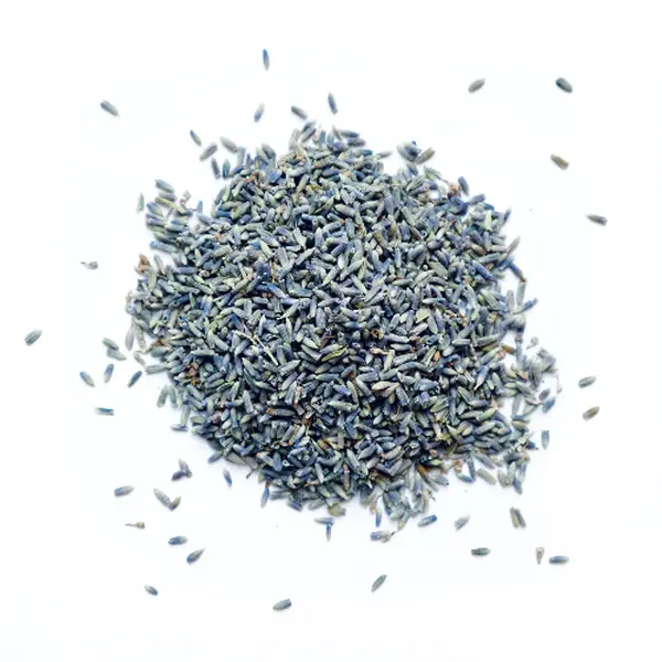 Lavender Buds - Dried Botanicals for Crafting