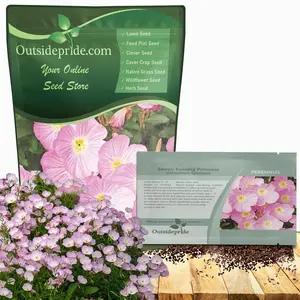 Outsidepride Showy Evening Primrose Seeds - 5000 Pcs Perennial, Hardy, Easy to Grow & Low Maintenance Flower Seeds for Planting Vibrant Soft Pink Blooms, for Containers, Borders & Erosion Control