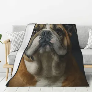 Bulldog blanket, pet enthusiast themed blanket, suitable for living room home decoration