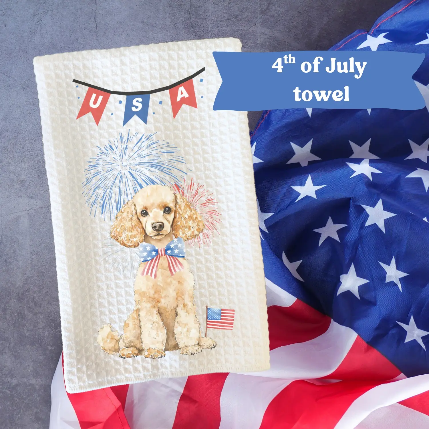 Poodle (standard) #3