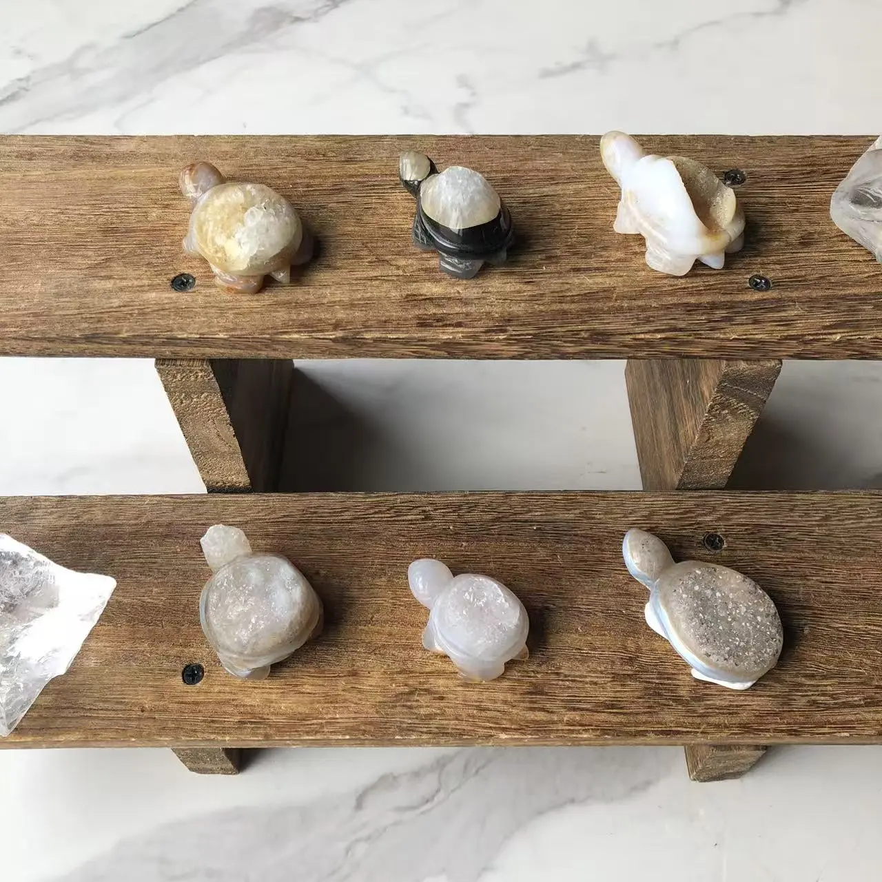 Natural Crystal Druzy Agate Turtle