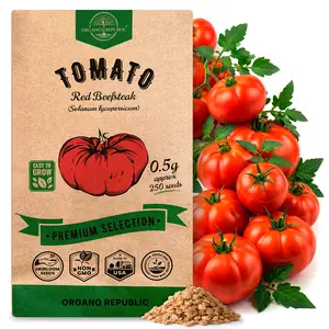 Red Beefsteak Tomato Seeds Pack 0.5G