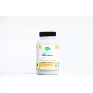 MS Support+