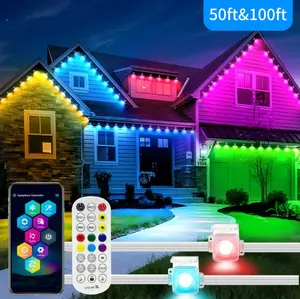 DAYETTER Permanent Outdoor Lights, Outdoor Eaves Lights, IP67 Waterproof Christmas Lights, New Year,for All Decorations.