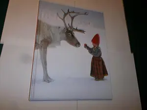 USED-Christmas Wish Target Premium Edition by Lori Evert (Hardcover)