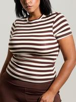 Brown and Cream Stripes