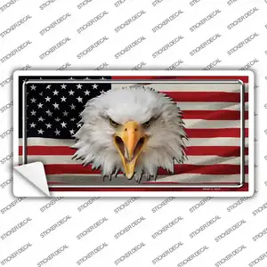 USA Eagle Novelty Sticker Decal
