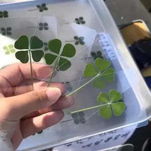 10pcs Lucky Four-Leaf Clover Postcards Shamrock Stems Transparent Wishing Cards Ideal for Bookmarks & Decorations Holiday Gifts