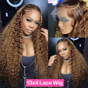 Pizazz Hair Water Wave 4/27 Highlight 13x4 HD Transparent Lace Front Wigs Ombre Human Hair Wet and Wavy Curly Lace Frontal Wigs Pre Plucked with Baby Hair 180% Density