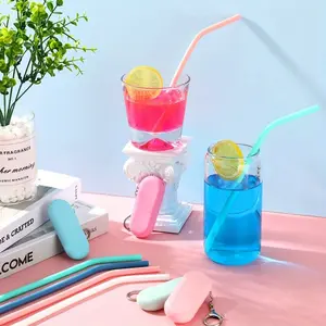 Department Store Silicone Straws Set, Reusable Foldable Portable Drinking Straw Set for Party Travel Cold or Hot with Box, Cleaning Brushes, Travel, Party, Parties