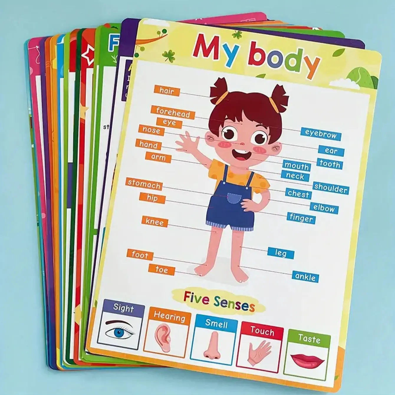 20 Educational Posters for Kids with Protective Film, Abc Letters, Numbers, Colors, Animals, Weather, Perfect for Preschool Classroom Decor, Classroom Decoration, Visual Learning Tools, Learning Materials, Classroom Supplies Charts, Teaching Supplies